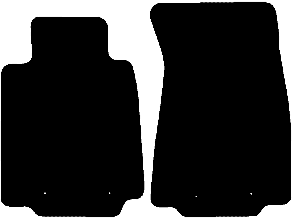 fijacion 2