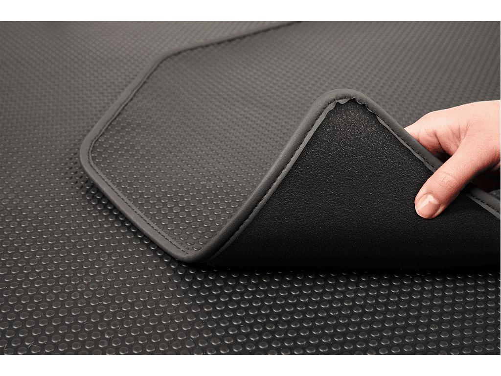 Carmat image 2