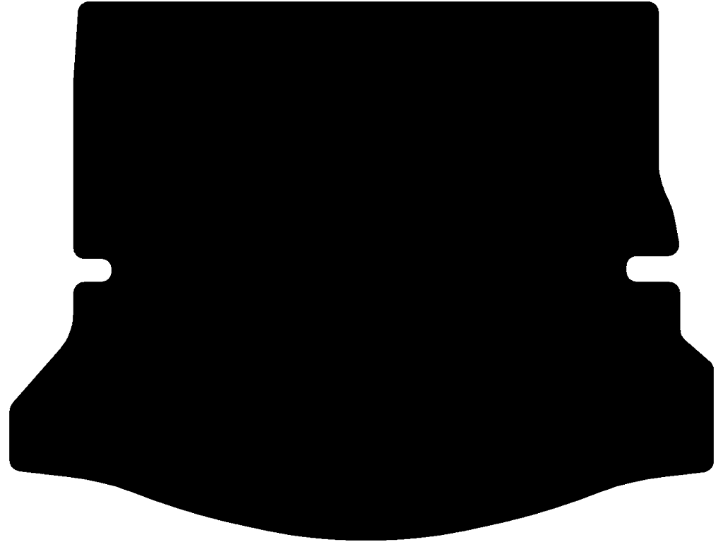 Grand Scenic | 7 plazas